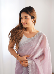 Nakshtara Onion Embellished Saree