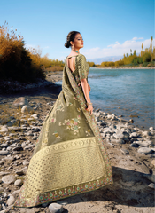 Luxe Olive Banarasi Ensemble