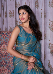 Nakshatra Turquoise Zircon Border Saree