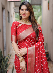 Nakshatra Maroon Bandini Saree in Dola Silk