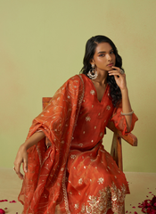 Nakshatra Rust Shimmer Organza Party Wear Suit