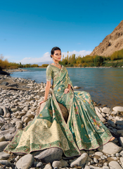 Emerald Elegance Banarasi Ensemble