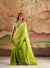 Nakshatra Green Banarsi Georgette saree