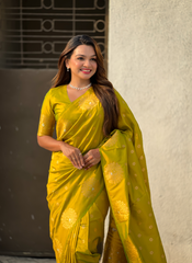 Nakshatra Olive Soft Silk Dual Zari Saree