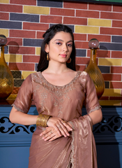 Nakshatra Copper Zircon Border Saree