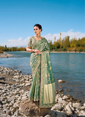 Emerald Elegance Banarasi Ensemble