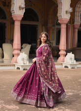 Nakshatra Wine Ready to Wear Indian Gown