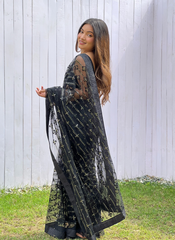 Nakshatra Black Sequence Net Saree