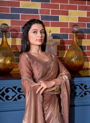 Nakshatra Copper Zircon Border Saree