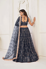Black Pearl Butterfly Net Lehenga