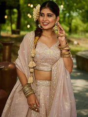 Nakshatra Nude Organza Tissue Lahenga Choli