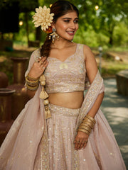 Nakshatra Nude Organza Tissue Lahenga Choli