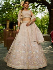 Nakshatra Nude Organza Tissue Lahenga Choli