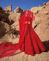 Crimson Elegance Lehenga
