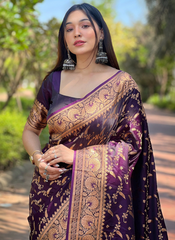 Nakshatra  Purple Banarsi Silk sari