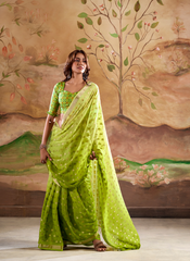 Nakshatra Green  Banarsi Georgette saree