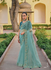 Mint Green Tissue Organza saree