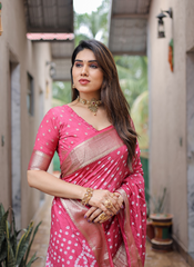 Nakshatra Pink Bandini Saree in Dola Silk