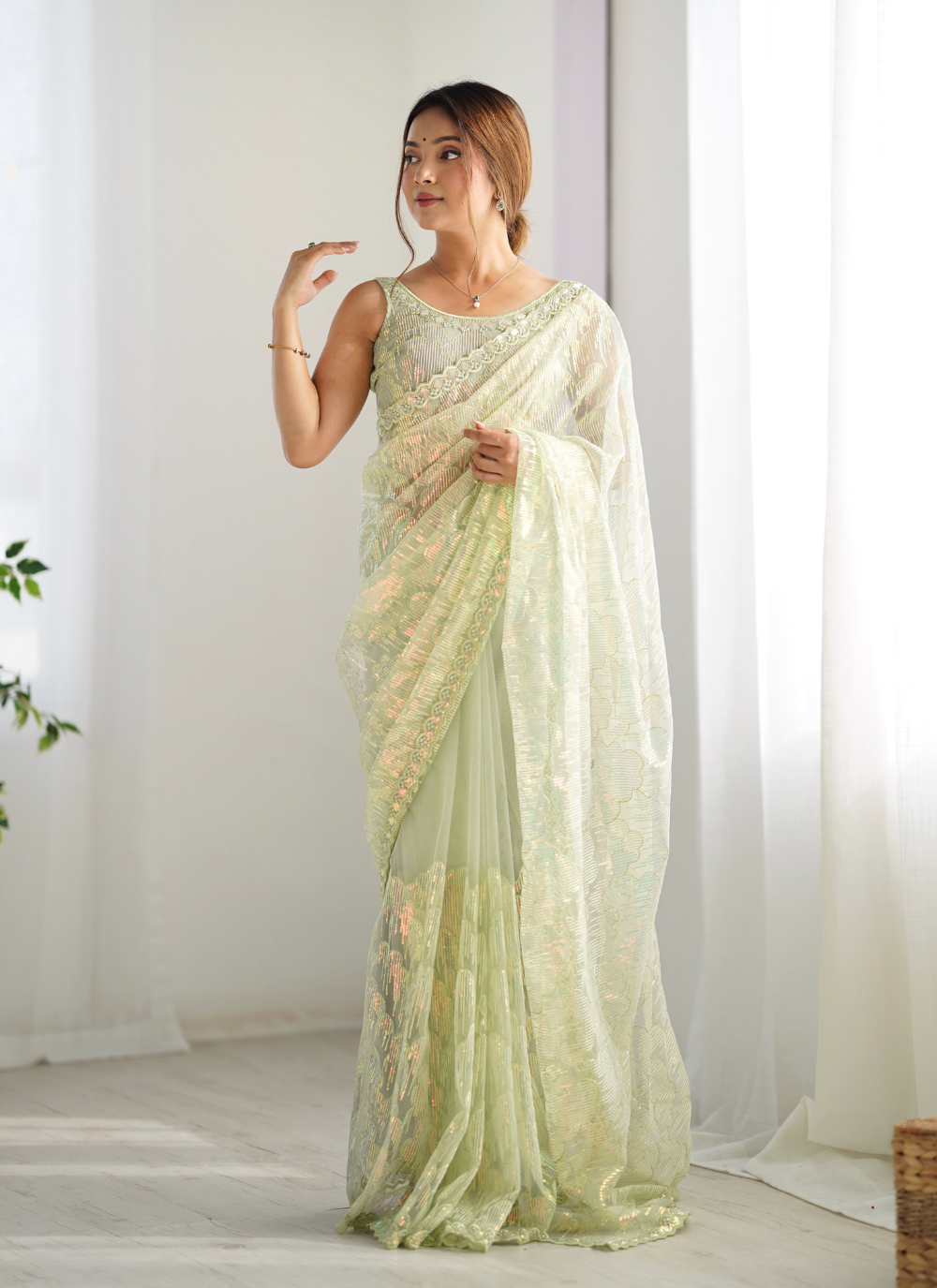 Nakshatra Pista Embellished Net Saree