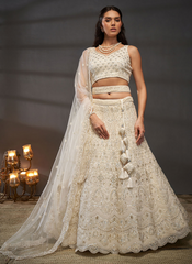 Nakshatra Cream Net Lehenga