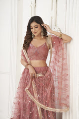 Ethereal Aurora Butterfly Net Onion Lehenga